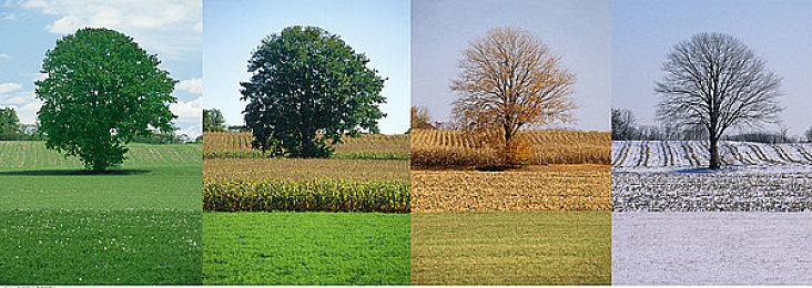 《幻兽帕鲁》开发商与Epic Games紧急解决连接问题